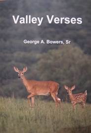 cover of Valley Verses book by George Bowers