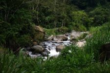 mountain stream