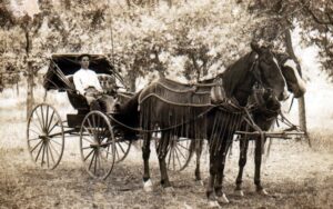 horse and buggy