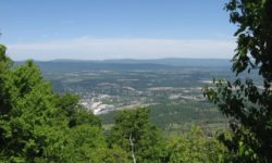 signal knob Virginia